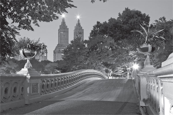 The New York City skyline from Central Park Courtesy of James Maher CHAPTER - photo 3