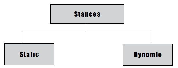 A stance will be in one of two different states Static or Dynamic Static - photo 5