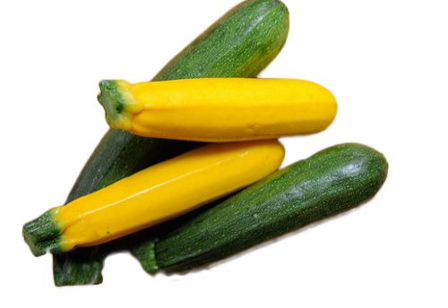 Summer Squash The list of nutrients in summer squash related to healthy blood - photo 8