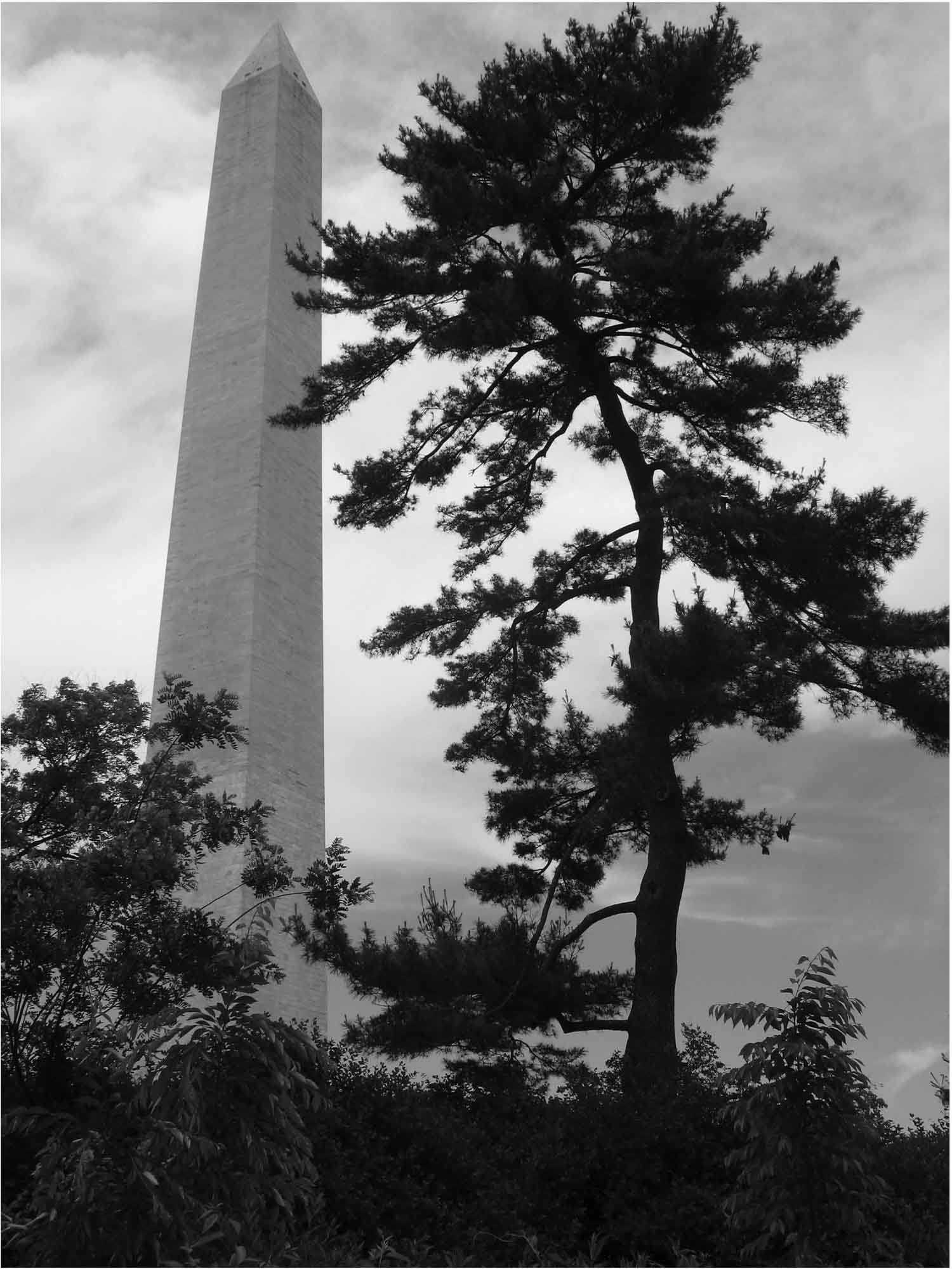 The Washington Monument today The Washington Monument has always been the odd - photo 4