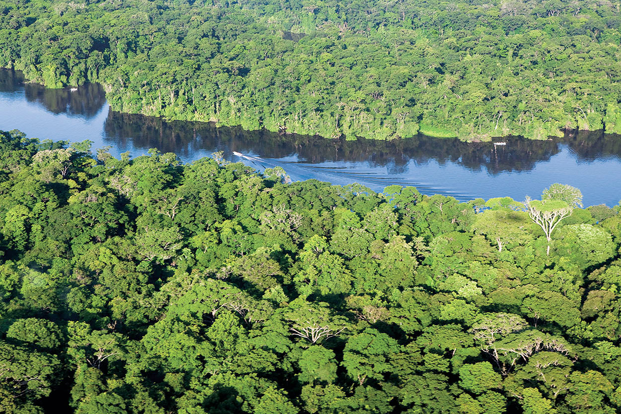 Top Attraction 3 Tortuguero Canals Drifting silently in a canoe along - photo 8