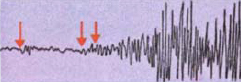 PHYSICAL OCEANOGRAPHY is closely related to geology and is concerned with the - photo 6