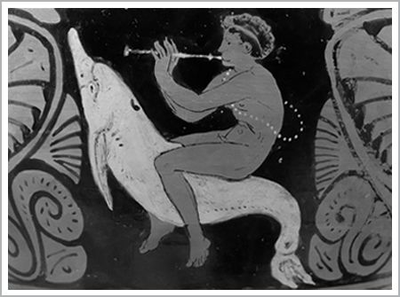 A boy musician riding a dolphin Detail of a red-figure Etruscan vase of the - photo 4