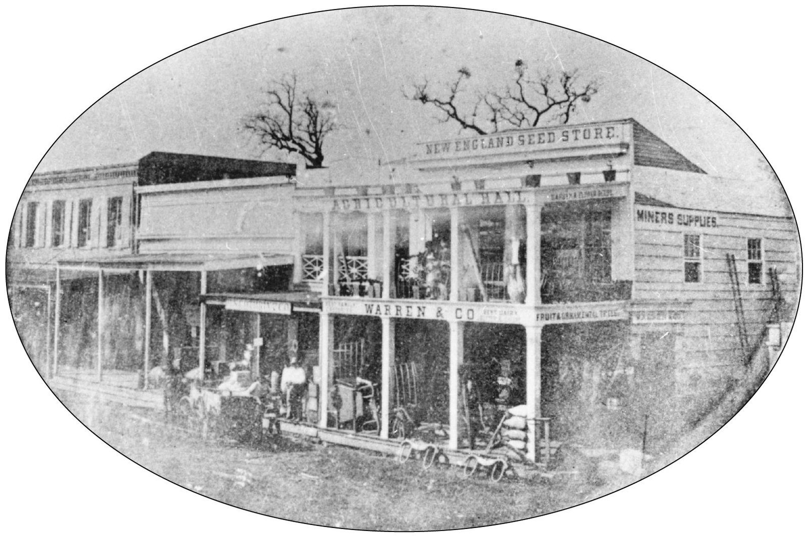 Pictured here is James L L F Warrens New England Seed Store at 3 J Street in - photo 5