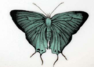 Butterfly detail from Botanic Garden plate Not only surviving but riding the - photo 7