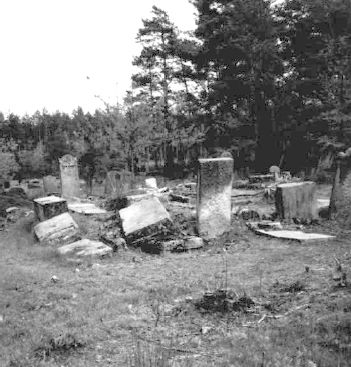 Otwock May 2004 CONTENTS Memorial stone for 5000 Otwock Jews INTRODUCTION - photo 4