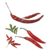 Chillies come in many sizes Fresh green and red finger-length chillies are - photo 6