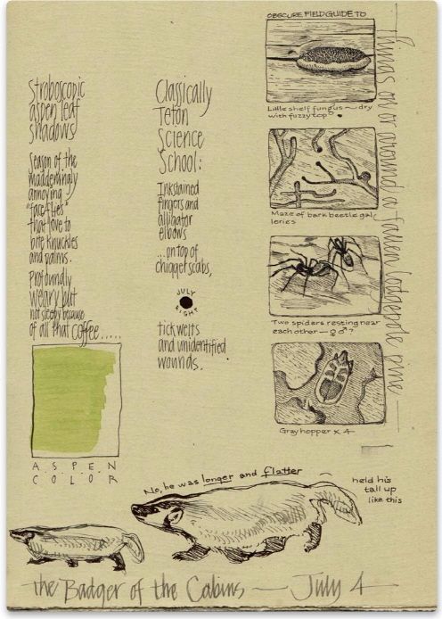 Journal Page by Hannah Hinchman Journal Artists Top left Nina Johansson - photo 6