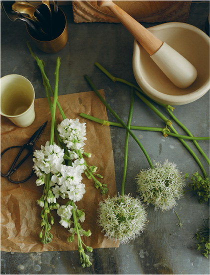 Making vegetables the focus of our diet is widely considered to be the single - photo 5