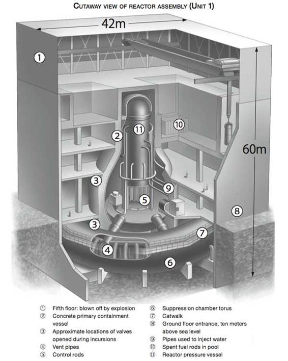 NB For clarity this diagram is greatly simplified and not strictly to scale - photo 4