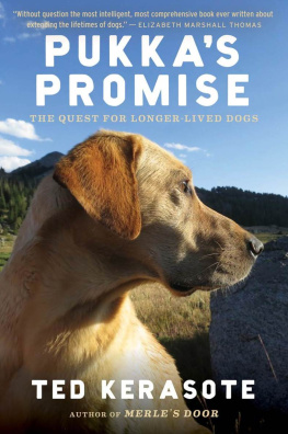 Kerasote Pukkas promise : the quest for longer-lived dogs