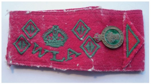 9a WLA armband and badge A half diamond denoted six months service 10a - photo 10