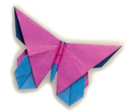 Michael LaFosse folded his first original origami butterfly whileriding a - photo 9