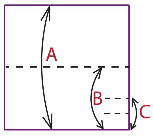 Begin with the minor colorfacing up A Valley-fold inhalf bottom edge to top - photo 11