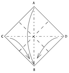 Mountain-fold corners C and D in half Bring corners A C and D down to B - photo 3