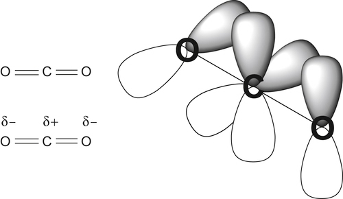 FIGURE 11 Representations of carbon dioxide The chemical reactivity of - photo 1