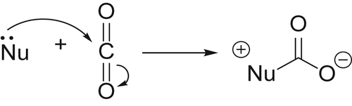 SCHEME 11 Reaction of carbon dioxide with nucleophiles FIGURE 12 - photo 4