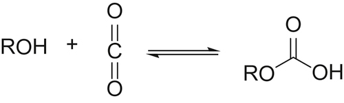 SCHEME 12 Formation of carbonic acids from carbon dioxide and water or - photo 8