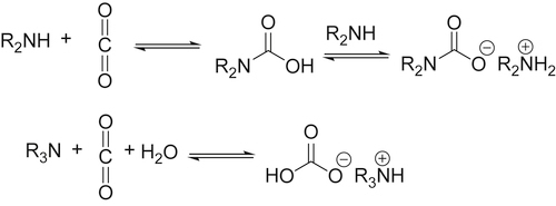 SCHEME 13 Formation of carbamic acids and ammonium carbamates from carbon - photo 9